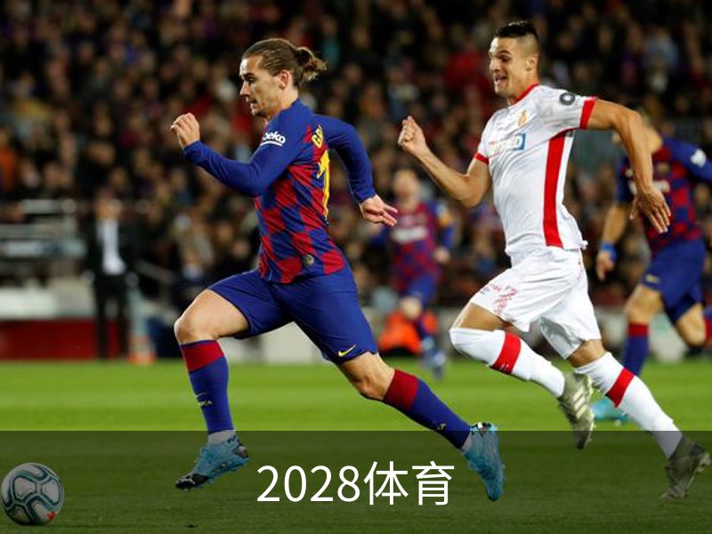 2028体育概况